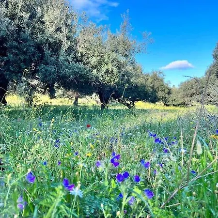 Village Traditional House Christos Holiday home Skyros